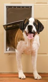 PetSafe Freedom Pet Door - Extra Large